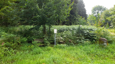 IMG-20250724-WA0010.jpeg