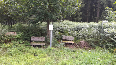 IMG-20250724-WA0017.jpeg