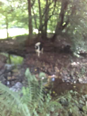 20250724_124454.jpg