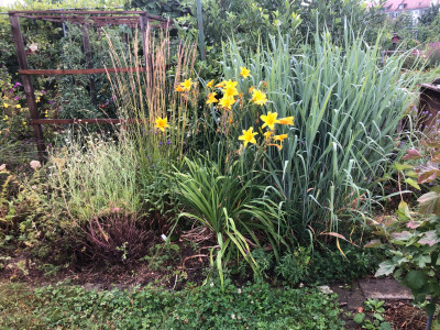 IMG_0692.jpeg
