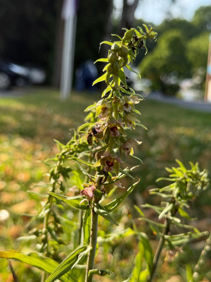 IMG_8769.jpeg
