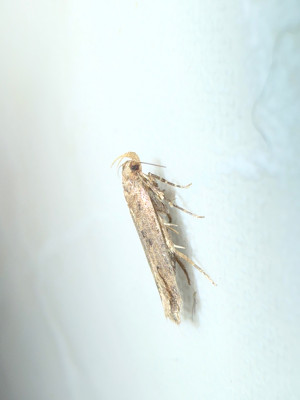 IMG_8531.jpeg