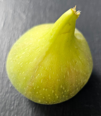 Verdeja Breba