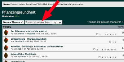 suche.jpg