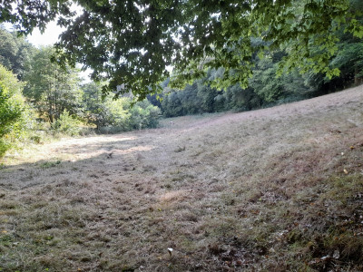 20250726_171356.jpg