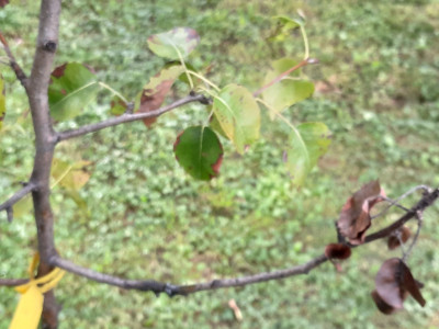 20250726_181511.jpg