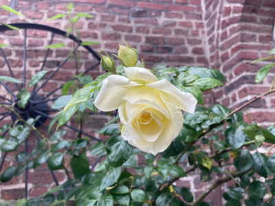 62FC2F9D-015C-4ED7-B99B-836BC7DAE39D.jpeg