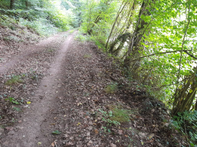 20250727_162129.jpg