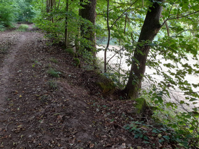 20250727_162421.jpg