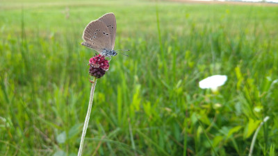 20250726_115246.jpg