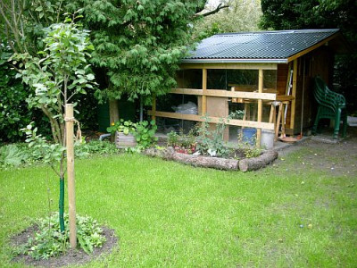 thuja_moglichkeiten.jpg