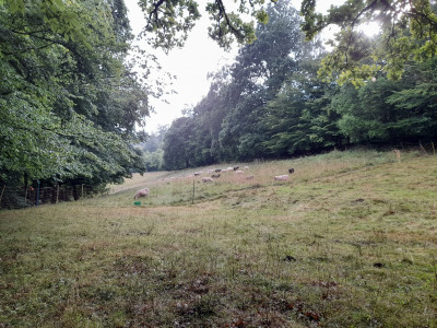 20250728_180325.jpg