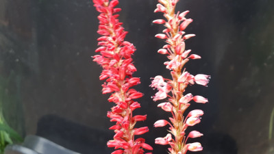20200924_180525.jpg