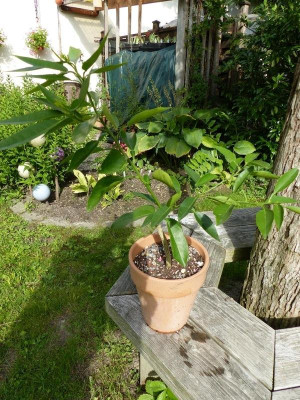P1080185_.jpg