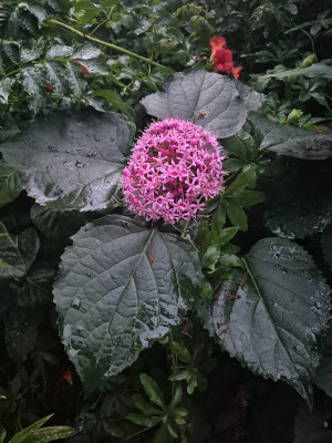 20250729_210826.jpg
