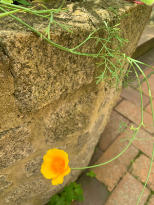 IMG_8837.jpeg