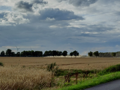 IMG_20250729_190357768_HDR.jpg
