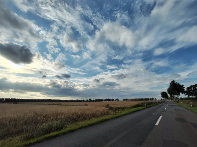 IMG_20250729_190415348_HDR.jpg