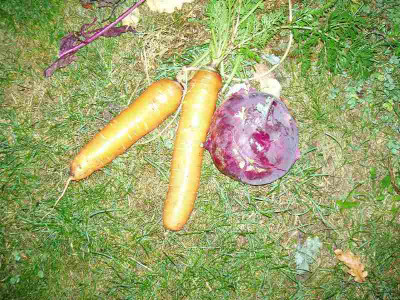 Abendbrot_ue.jpg