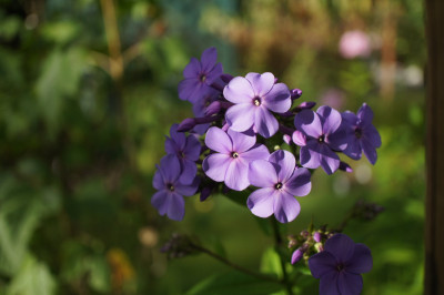 Blaue Urgewalt (9).JPG