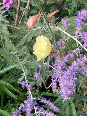 IMG_0472.jpeg