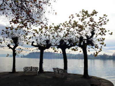 P1160295.jpg