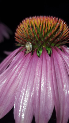 20250801_203546.jpg