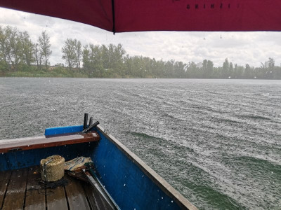 Schauer Baggersee.jpeg