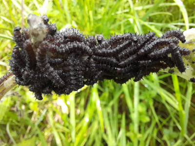 20250801_153131.jpg