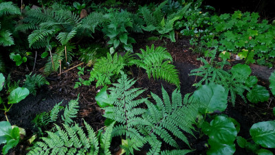 20250802_201930.jpg