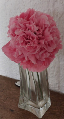 Papaver