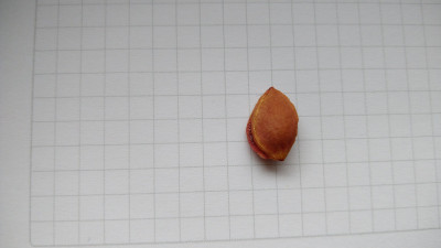 20250804_115115.jpg