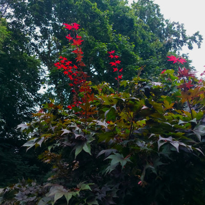 20250803_193726.jpg