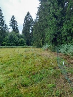 20250805_104254.jpg