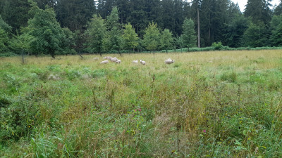 IMG-20250805-WA0000.jpeg