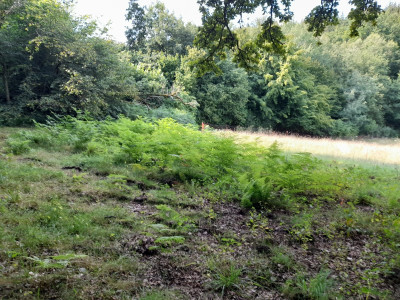 20250805_160314.jpg