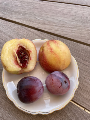 Fruteria.JPG