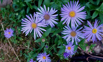 20250807_195802.jpg