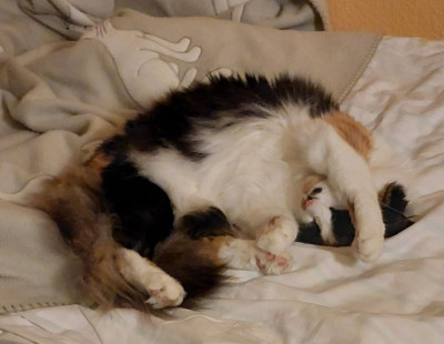 20250808_004233.jpg