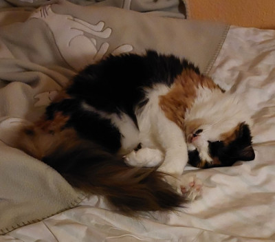 20250808_003626.jpg