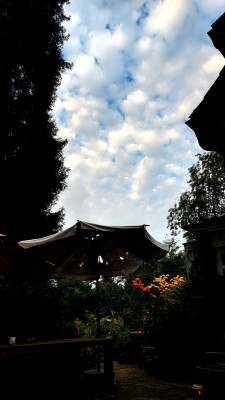 20250808_065517.jpg