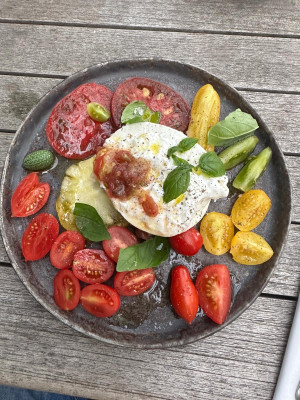 Das Gekleckere auf der Burrata ist geriebene Tomate mit Salz und Olivenöl