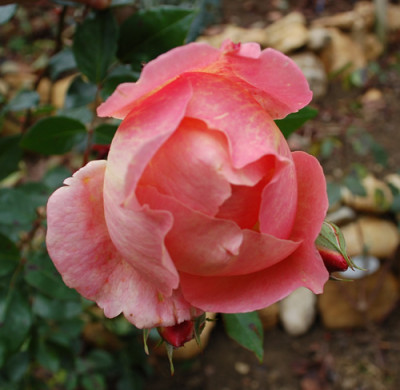 Heaven_on_Earth_0010__1440.jpg