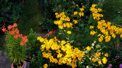 20250810_100255.jpg