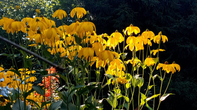 20250810_091039.jpg