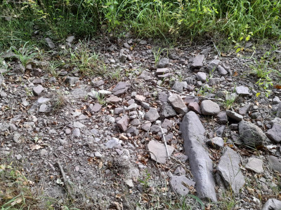 20250810_165620.jpg