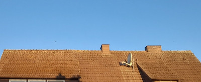 20250812_065614.jpg