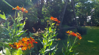 20250811_115313.jpg