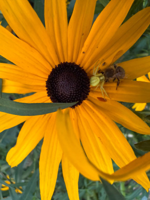 IMG_7608.jpeg