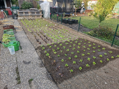 Ucycle Plot 20250812.jpeg